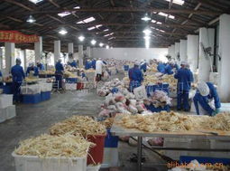 茌平縣冬盛食品廠食用菌產(chǎn)品目錄及批發(fā)業(yè)務(wù)介紹