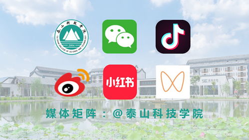 泰山科技學院星鑫校友圈入選2024山東教育融媒TOP100，展現(xiàn)校友聯(lián)結(jié)新力量